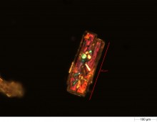 Particle image from the Morphologi G3 using episcopic dark-field with colour and polarizers  